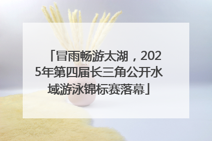冒雨畅游太湖，2025年第四届长三角公开水域游泳锦标赛落幕
