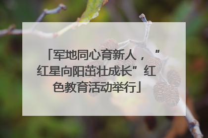 军地同心育新人，“红星向阳茁壮成长”红色教育活动举行