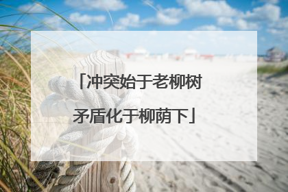 冲突始于老柳树 矛盾化于柳荫下