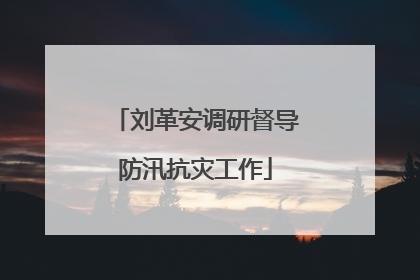刘革安调研督导防汛抗灾工作