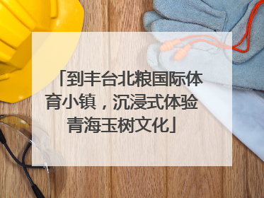 到丰台北粮国际体育小镇，沉浸式体验青海玉树文化