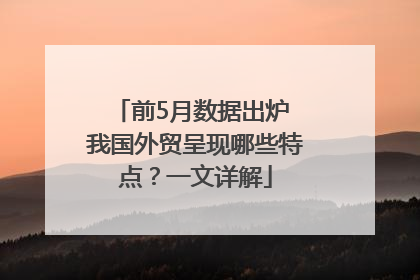 前5月数据出炉 我国外贸呈现哪些特点？一文详解