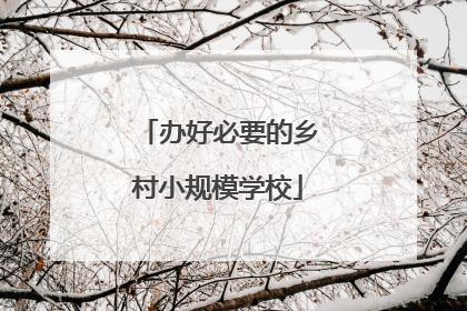 办好必要的乡村小规模学校