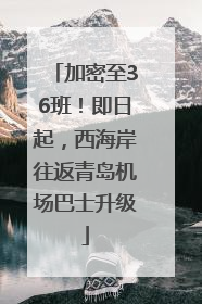 加密至36班！即日起，西海岸往返青岛机场巴士升级