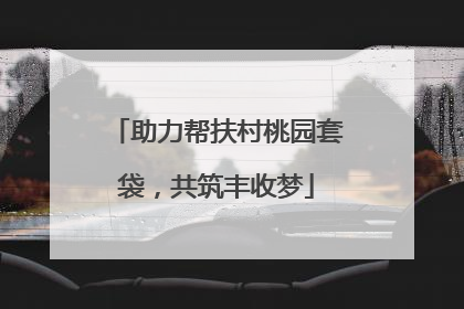 助力帮扶村桃园套袋，共筑丰收梦