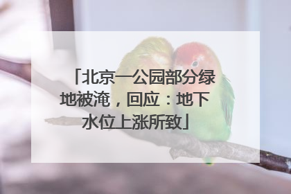北京一公园部分绿地被淹，回应：地下水位上涨所致