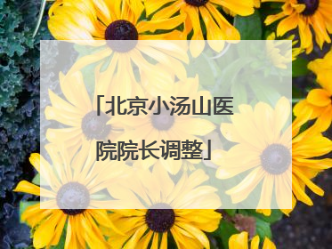 北京小汤山医院院长调整
