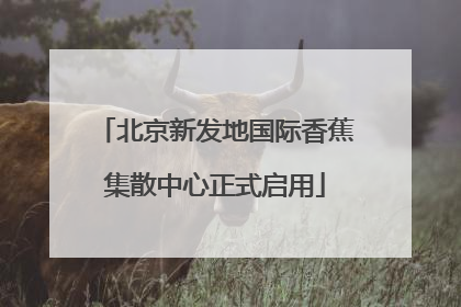 北京新发地国际香蕉集散中心正式启用