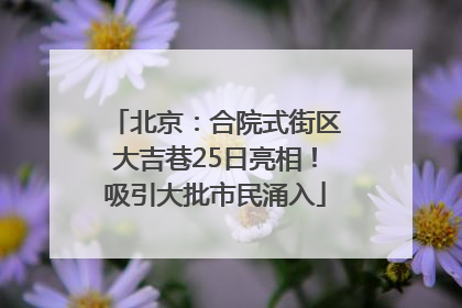 北京：合院式街区大吉巷25日亮相！吸引大批市民涌入