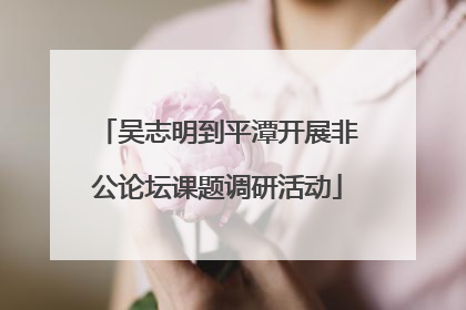 吴志明到平潭开展非公论坛课题调研活动