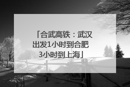 合武高铁：武汉出发1小时到合肥3小时到上海