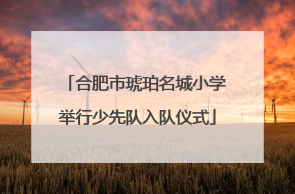 合肥市琥珀名城小学举行少先队入队仪式