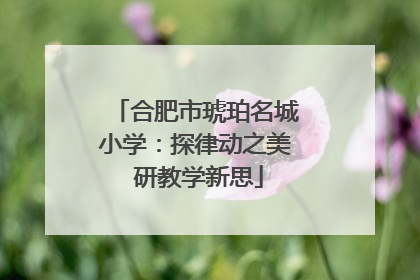 合肥市琥珀名城小学：探律动之美 研教学新思