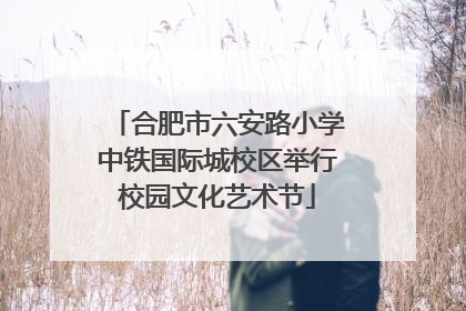 合肥市六安路小学中铁国际城校区举行校园文化艺术节