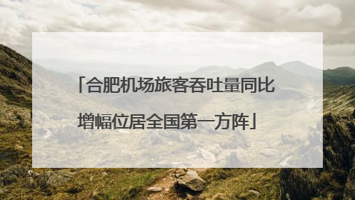 合肥机场旅客吞吐量同比增幅位居全国第一方阵