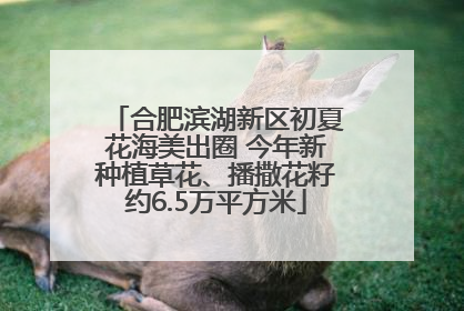 合肥滨湖新区初夏花海美出圈 今年新种植草花、播撒花籽约6.5万平方米