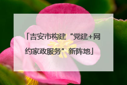 吉安市构建“党建+网约家政服务”新阵地