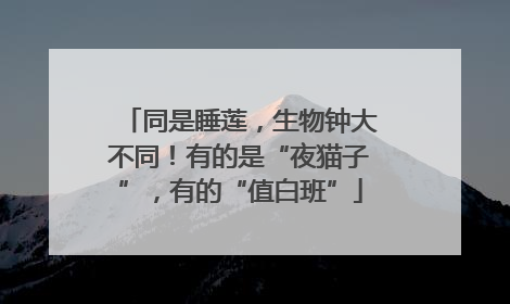 同是睡莲，生物钟大不同！有的是“夜猫子”，有的“值白班”