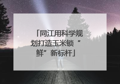 同江用科学规划打造玉米锁“鲜”新标杆