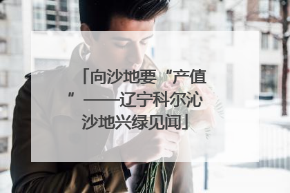 向沙地要“产值”——辽宁科尔沁沙地兴绿见闻