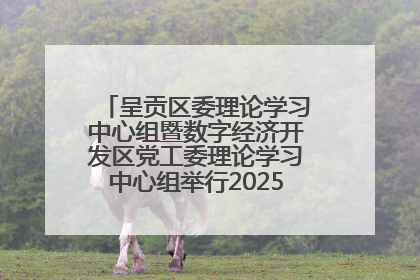 呈贡区委理论学习中心组暨数字经济开发区党工委理论学习中心组举行2025年第七次学习会议