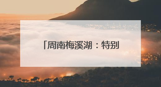 周南梅溪湖：特别的爱给毕业生，“请回答，2025”心“晴”跑燃爆校园