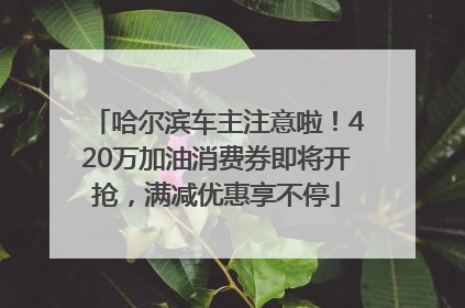 哈尔滨车主注意啦！420万加油消费券即将开抢，满减优惠享不停