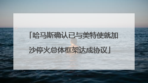 哈马斯确认已与美特使就加沙停火总体框架达成协议