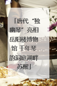 唐代“独幽琴”亮相岳阳楼博物馆 千年琴韵洞庭湖畔苏醒