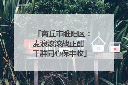 商丘市睢阳区：麦浪滚滚战正酣 干群同心保丰收
