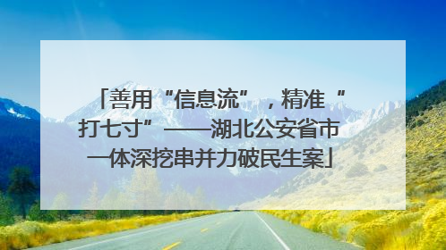 善用“信息流”，精准“打七寸”——湖北公安省市一体深挖串并力破民生案