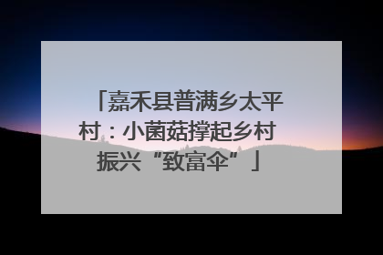嘉禾县普满乡太平村：小菌菇撑起乡村振兴“致富伞”