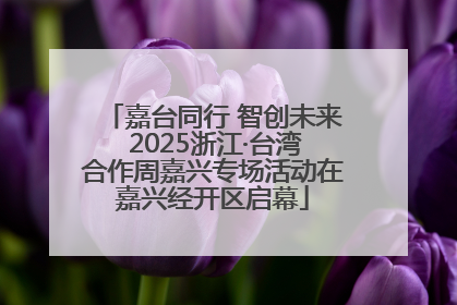 嘉台同行 智创未来 2025浙江·台湾合作周嘉兴专场活动在嘉兴经开区启幕