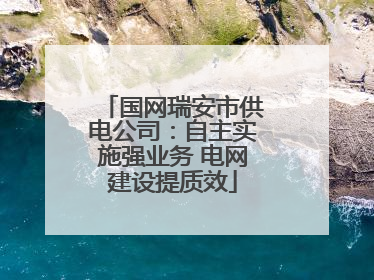 国网瑞安市供电公司：自主实施强业务 电网建设提质效