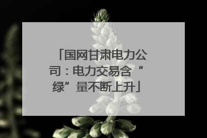 国网甘肃电力公司：电力交易含“绿”量不断上升
