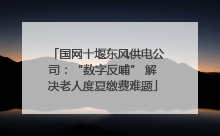 国网十堰东风供电公司：“数字反哺” 解决老人度夏缴费难题