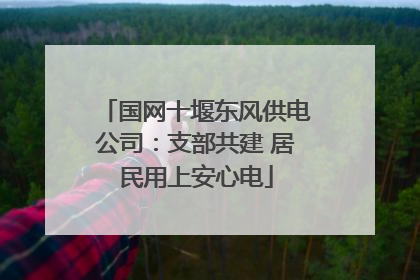 国网十堰东风供电公司：支部共建 居民用上安心电
