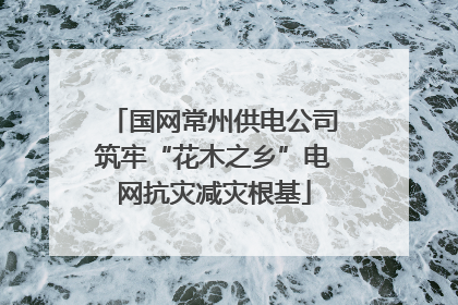 国网常州供电公司筑牢“花木之乡”电网抗灾减灾根基