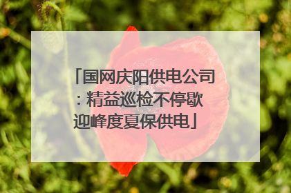 国网庆阳供电公司：精益巡检不停歇 迎峰度夏保供电