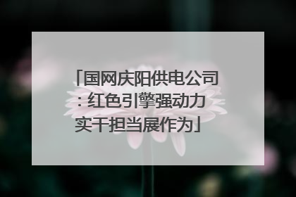 国网庆阳供电公司：红色引擎强动力 实干担当展作为