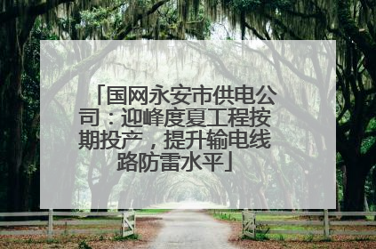 国网永安市供电公司：迎峰度夏工程按期投产，提升输电线路防雷水平