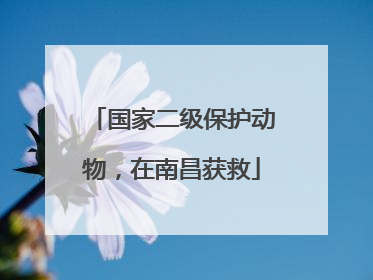 国家二级保护动物，在南昌获救