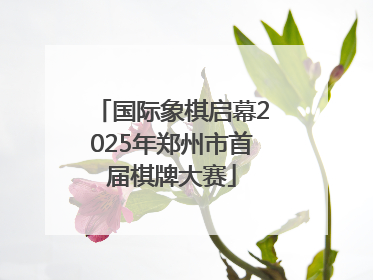 国际象棋启幕2025年郑州市首届棋牌大赛