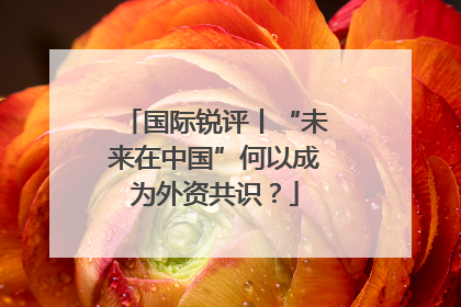 国际锐评丨“未来在中国”何以成为外资共识？