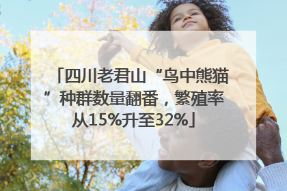四川老君山“鸟中熊猫”种群数量翻番，繁殖率从15%升至32%