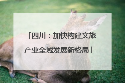 四川：加快构建文旅产业全域发展新格局