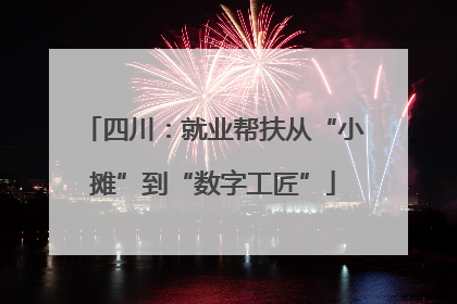 四川：就业帮扶从“小摊”到“数字工匠”