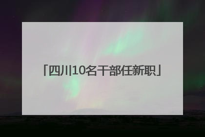 四川10名干部任新职