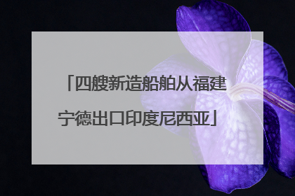 四艘新造船舶从福建宁德出口印度尼西亚
