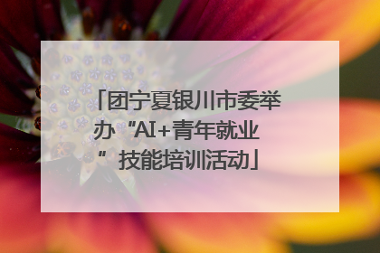 团宁夏银川市委举办“AI+青年就业”技能培训活动